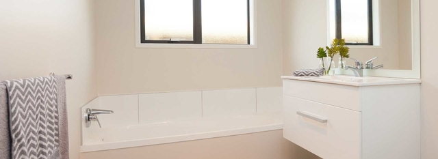 Tern cover image