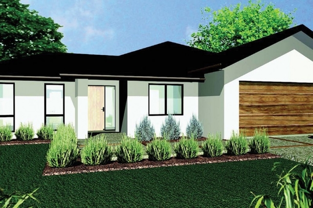 Kauri cover image