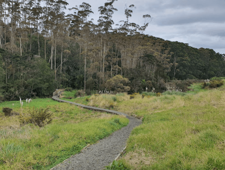 Weiti Bay gallery image