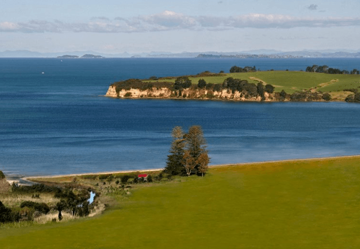 Weiti Bay gallery image