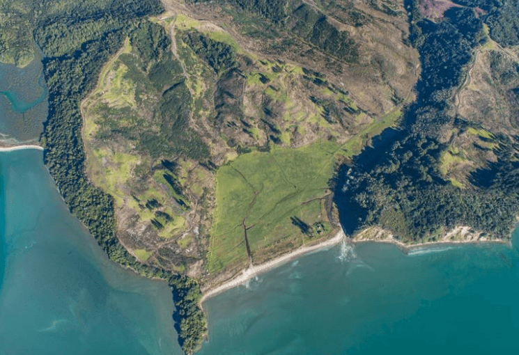 Weiti Bay gallery image