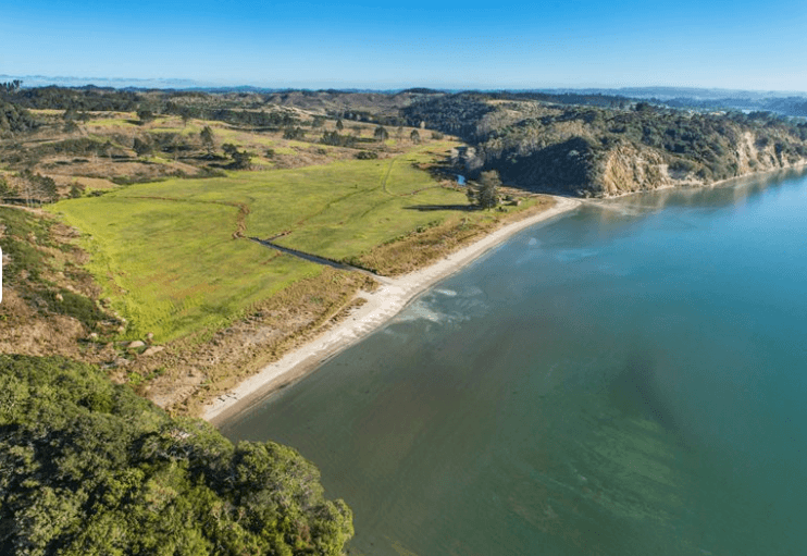 Weiti Bay gallery image