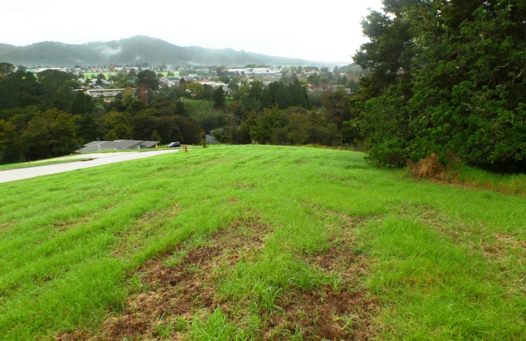 Takitimu Estate gallery image