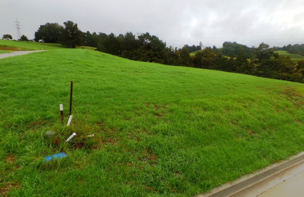 Takitimu Estate gallery image