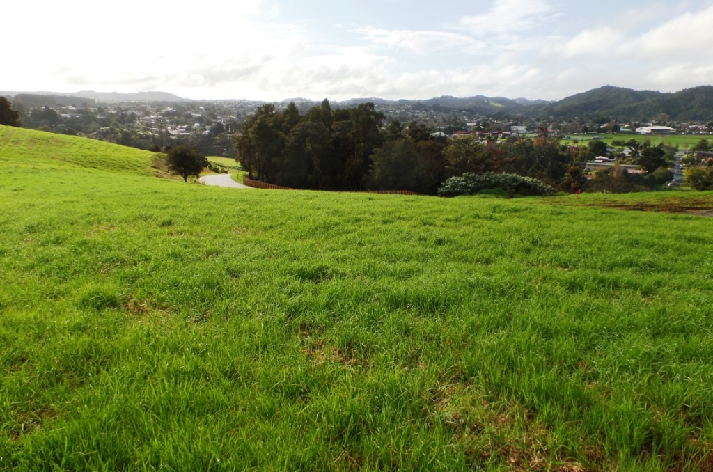 Takitimu Estate gallery image