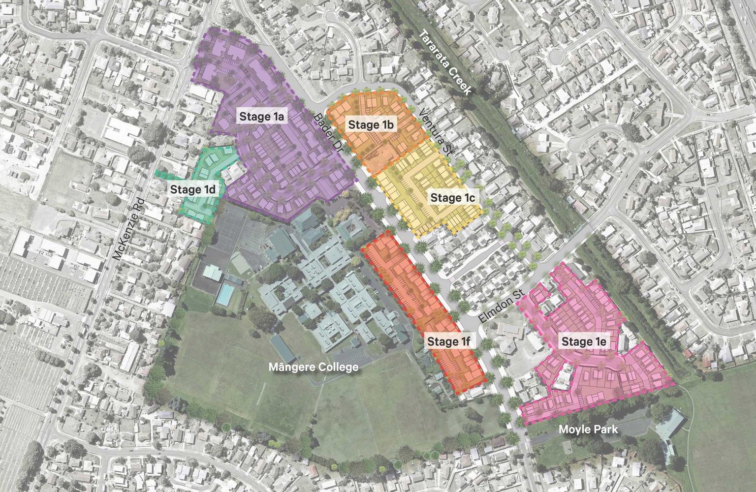 Mangere Development stages image