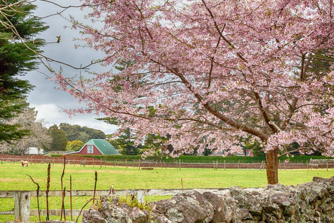 Awanui Ridge gallery image