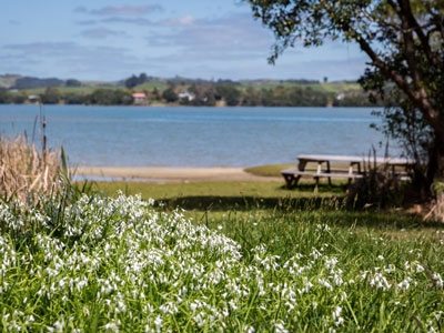 Mangawhai Point gallery image