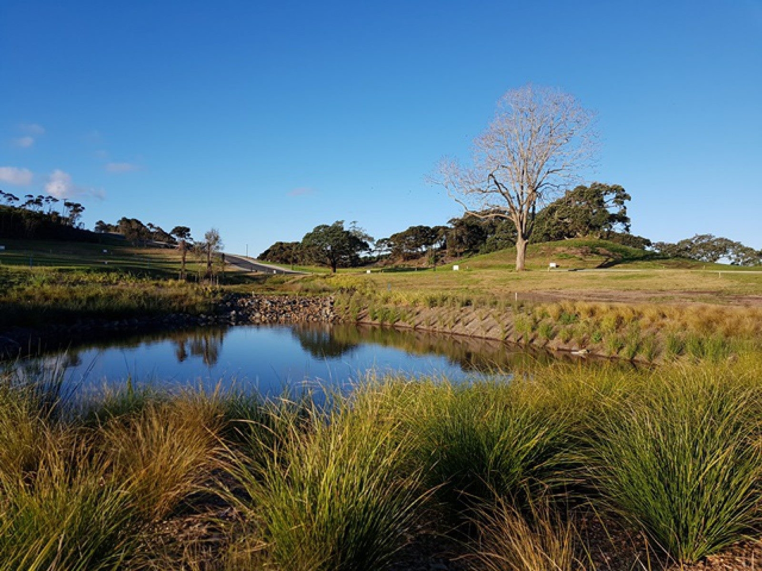 Mangawhai Point gallery image