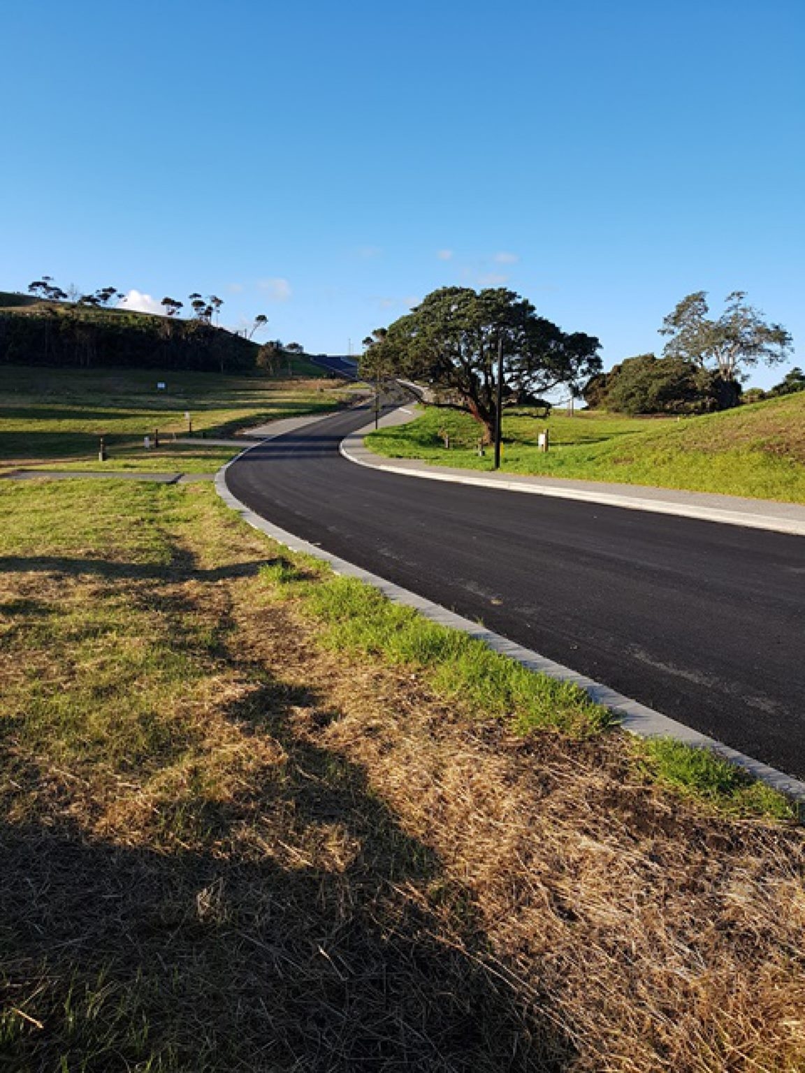 Mangawhai Point gallery image