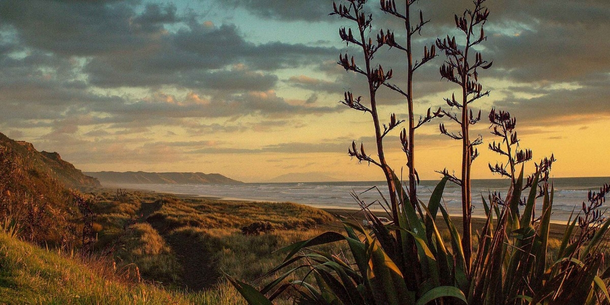 Waiuku Hamilton Drive Estate gallery image