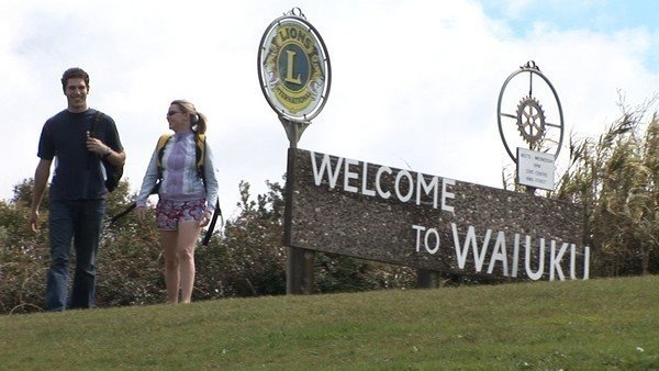Waiuku Hamilton Drive Estate gallery image