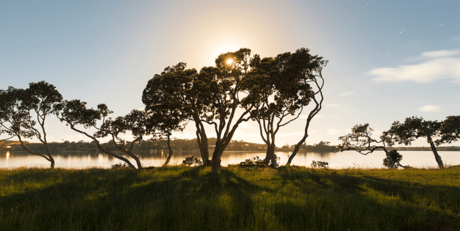Whai Awa gallery image