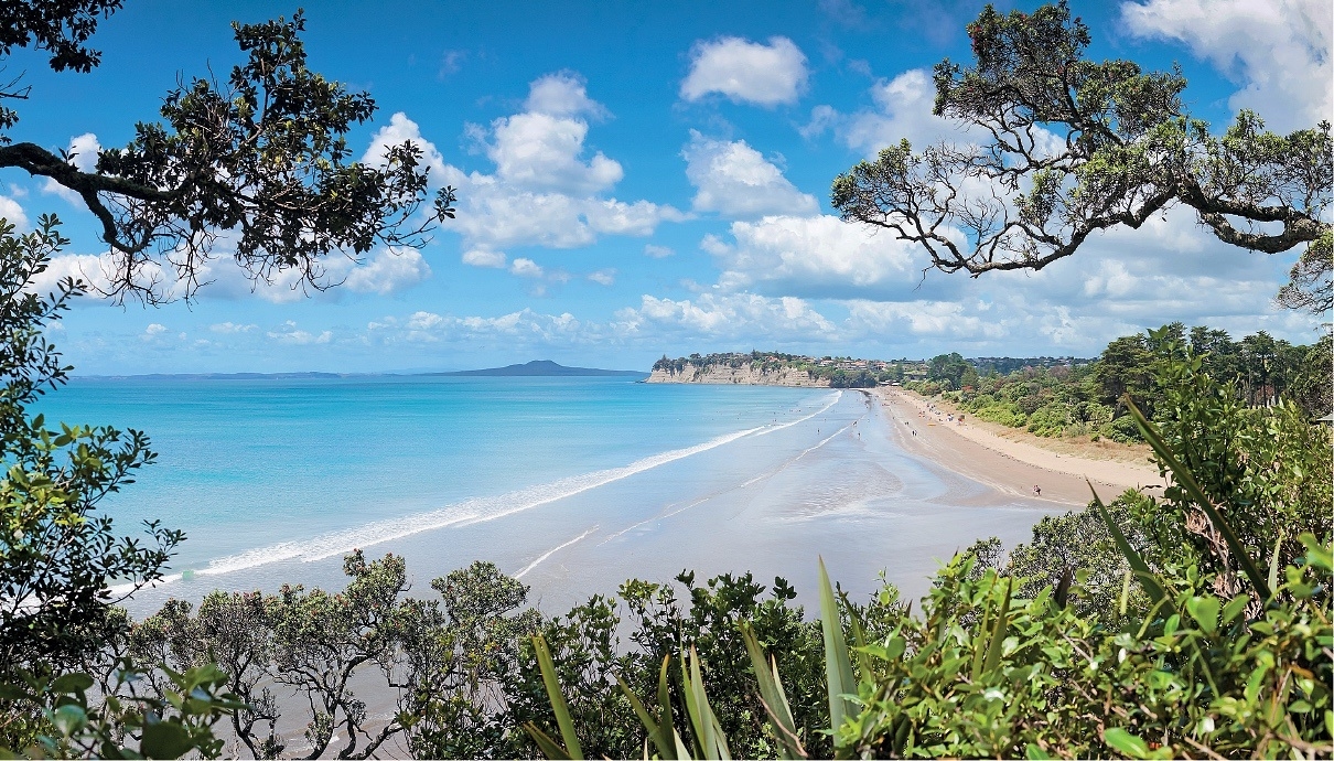 Kahu at Long Bay gallery image