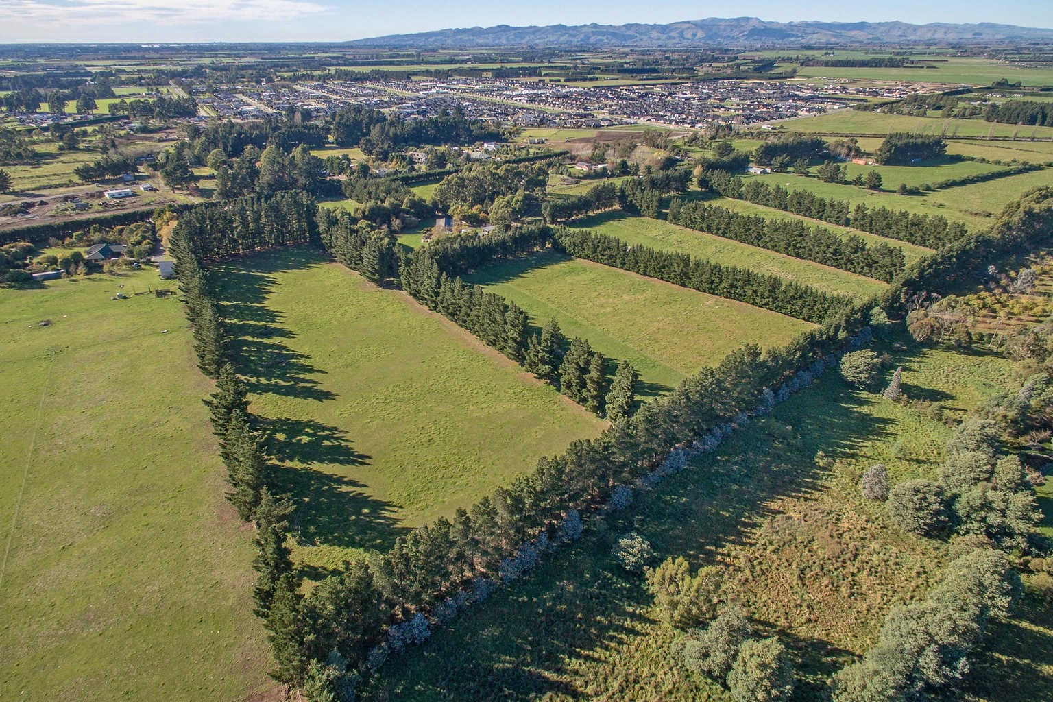 House and land packages Olivefields Rolleston