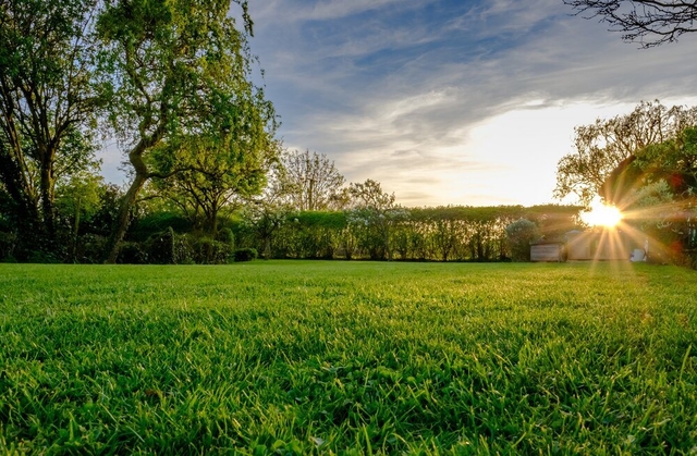 Lot 2 cover image