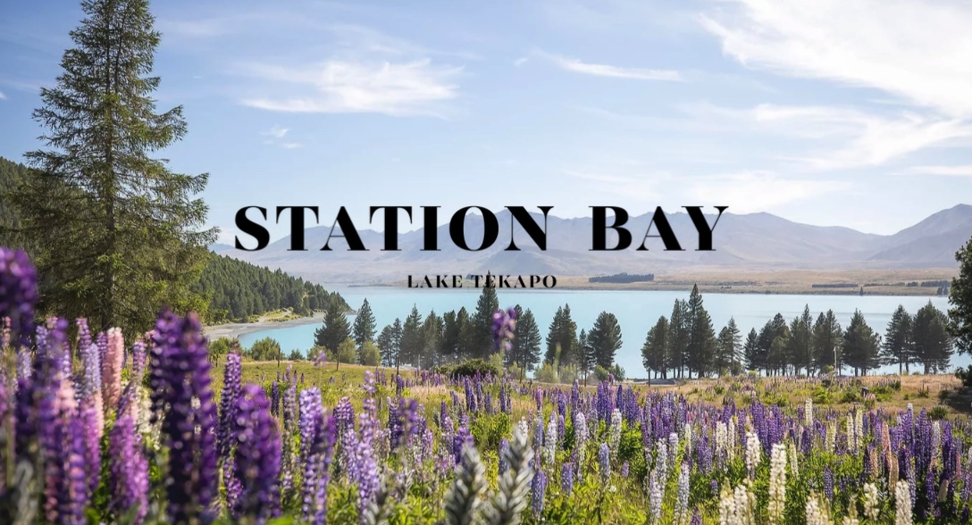 Station Bay gallery image