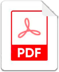 document icon